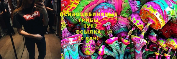 кристаллы Гусиноозёрск