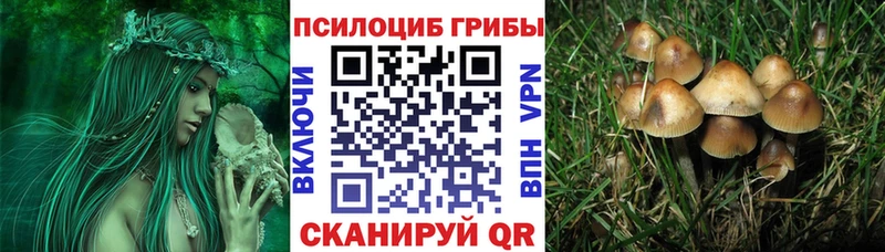 Галлюциногенные грибы мицелий  Купить  Салаир 